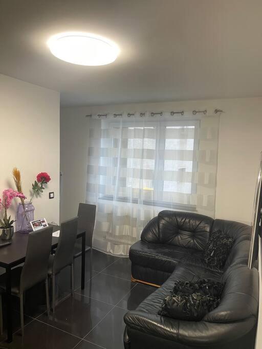 Apartment In Wien Mariahilferstrasse/Schwendermarkt 외부 사진